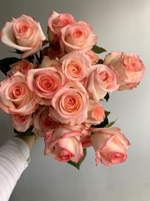 Pretty Pink Roses by the Dozen