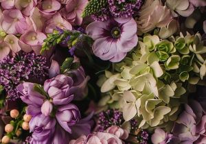 Purple Flower Power - We Can Arrange That!